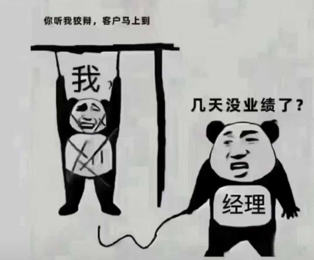 东南亚狗推日常:主打一个穷得真实,吹得专业